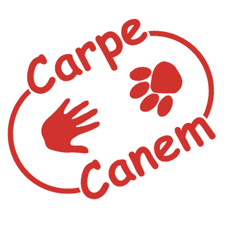 Carpe Canem asbl